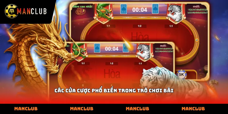 Các cửa cược phổ biến trong trò chơi bài