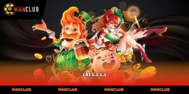 cài 1.1.1.1