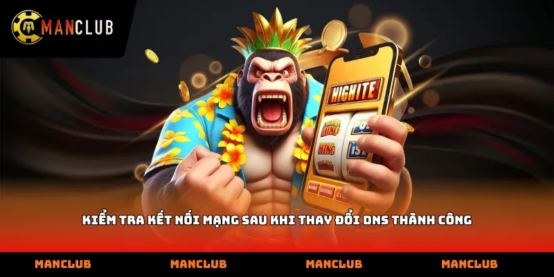 Kiểm tra kết nối mạng sau khi thay đổi DNS thành công