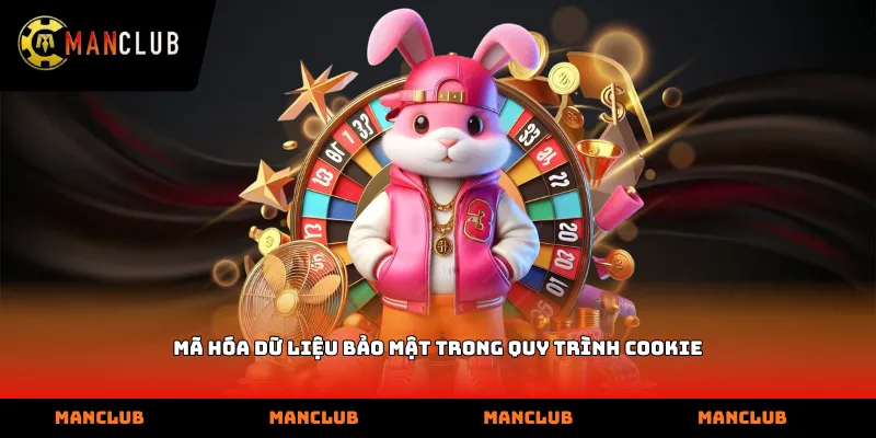 Mã hóa dữ liệu bảo mật trong quy trình cookie
